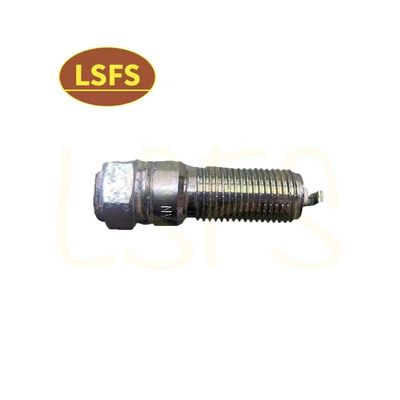 OEM 10162965 Spark Plug voor Maxus G10 2.0T High Standard