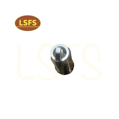 OEM 10162965 Spark Plug voor Maxus G10 2.0T High Standard