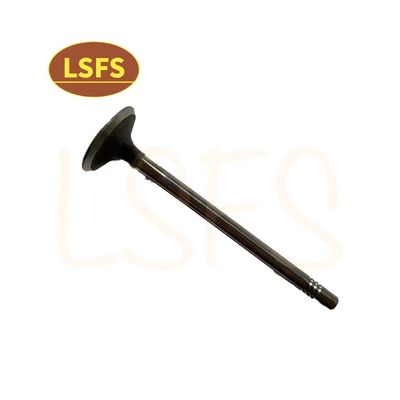 G10 MPV aangepast inlaatklep voor Maxus D90 G20 T60 OEM C00111120