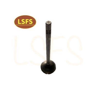 G10 MPV aangepast inlaatklep voor Maxus D90 G20 T60 OEM C00111120