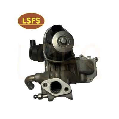 EGR-klepkit voor MAXUS T60 D90 V80 en Durable Steal OE C00073005/C00049994/C00291102